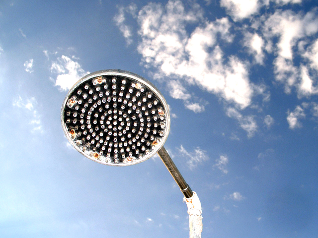 FREE water efficient shower head